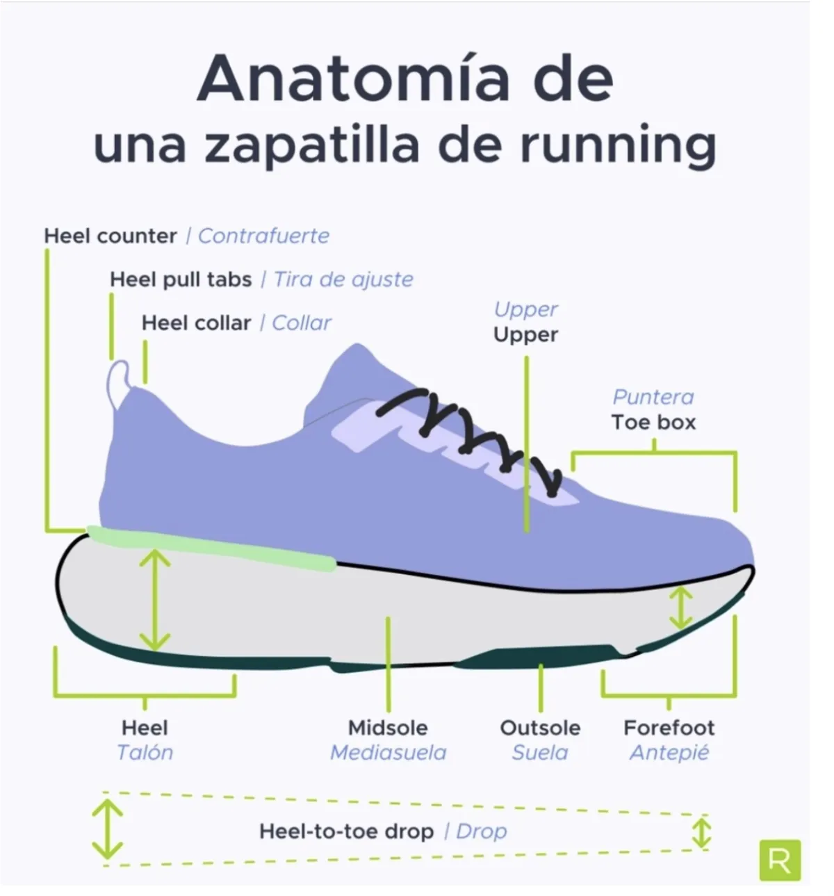 Diagrama con la anatomía de una zapatilla de running: contrafuerte, tira de ajuste, collar, upper, puntera, talón, mediasuela, suela, antepié y drop