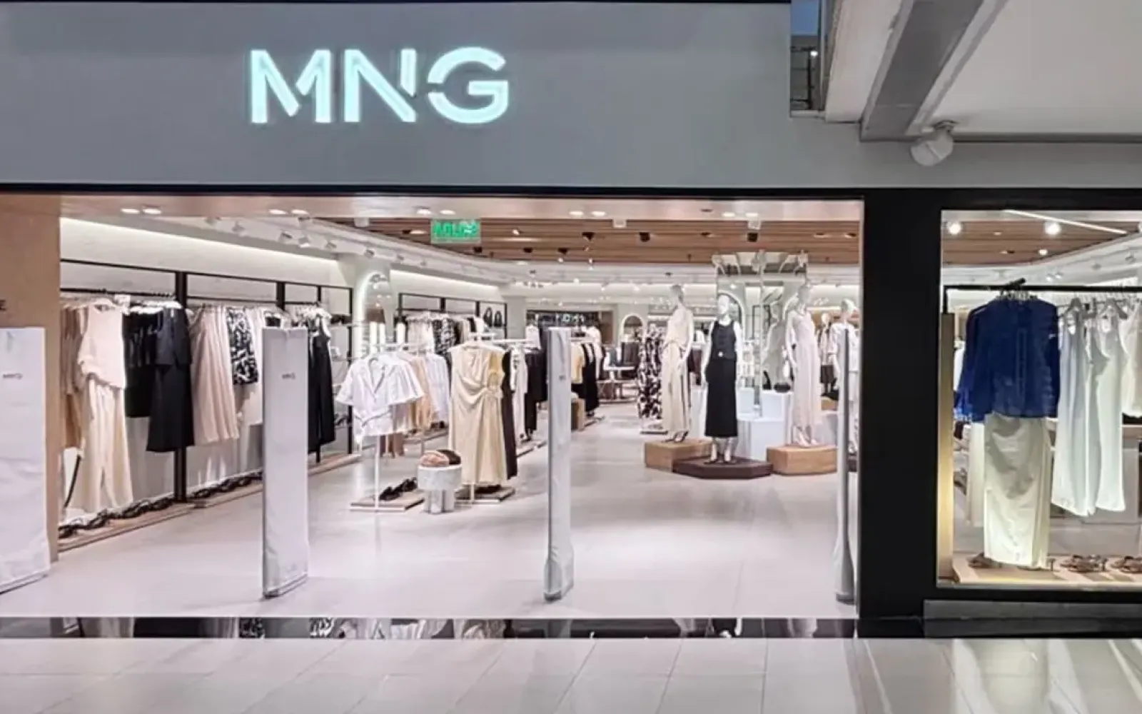 Mango en Argentina: precios, local y cómo comprarla usada